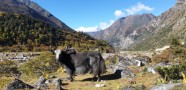 Ceļojums uz Butānu - 8