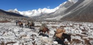 Ceļojums uz Butānu - 12