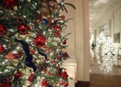 Baltā nama Ziemassvētku dekori - 12