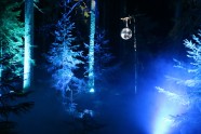 Sveču mežs Skaņākalna dabas parkā - 32
