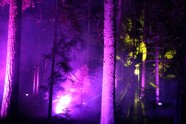 Sveču mežs Skaņākalna dabas parkā - 34