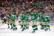 Hokejs, NHL spēle, Ziemas klasika: Dalasas Stars - Nešvilas Predators - 7