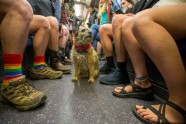 "No Pants Subway Ride" jeb "Diena bez biksēm metro" - 42