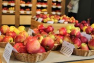 Latvijas valsts mežu vēstniecībā Rīgā, Latvijas valsts mežu vēstniecība, āboli, ābolu izstāde