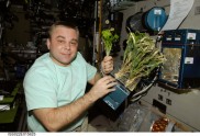 Kosmosa stacijas salāti - 6