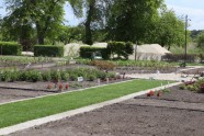 Bulduru Dārzkopības vidusskolā pabeigta digitālā dārza 1. kārta - 9