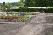 Bulduru Dārzkopības vidusskolā pabeigta digitālā dārza 1. kārta - 17