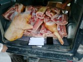 PVD Jauncodē atklāj nelegālu gaļas sadales vietu - 2