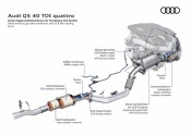 Audi Q5 - 56