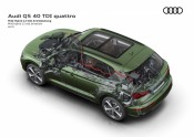 Audi Q5 - 65