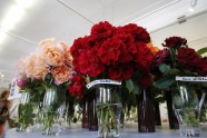 Rožu izstāde Lavijas Dabas muzejā - 35