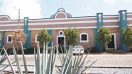 Fabrica de Tequilas Finos, agaves lauki - 30