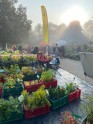 Krāšņi augi un retumi grandiozajā Latvijas Stādu parādē 2020 - 2
