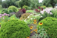 Nīcas novada skaistākie dārzi 2020 - 15