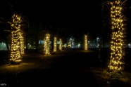Ziemassvētku gaismas ceļa objekti Madonā - 34