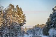 Ziema uz Latvijas autoceļiem Kurzemē - 11