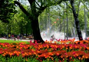 Iepazīsti Ventspili vietējo acīm: pavasara un vasaras ziedi - 2