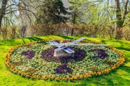 Iepazīsti Ventspili vietējo acīm: pavasara un vasaras ziedi - 12