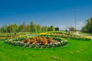 Iepazīsti Ventspili vietējo acīm: pavasara un vasaras ziedi - 17