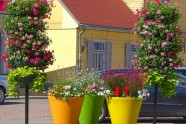 Iepazīsti Ventspili vietējo acīm: pavasara un vasaras ziedi - 33