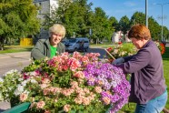 Iepazīsti Ventspili vietējo acīm: pavasara un vasaras ziedi - 38