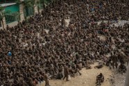 Tigraji caur Mekeli parādē izved 7000 sagūstītu Etiopijas karavīru - 15