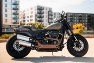 Harley-Davidson Fat Bob 114 - 1