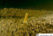 Jauns sena vraka atradums jūrā pie Daugavas grīvas - 1