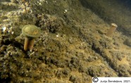 Jauns sena vraka atradums jūrā pie Daugavas grīvas - 2