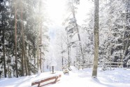 Tērvetes dabas parks ziemā - 2