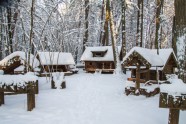 Tērvetes dabas parks ziemā - 5