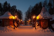 Tērvetes dabas parks ziemā - 9