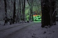 Tērvetes dabas parks ziemā - 11