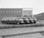 Scania B75 buses 1959