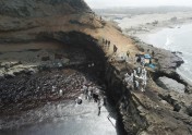 Naftas savākšana Peru piekrastē - 7