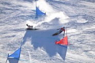 Snovbords, paralēlais milzu slaloms