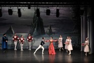 Kijevas baleta Gulbju ezers Francijā - 4