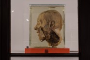 RSU Anatomijas muzejs - 3