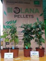 Uzņēmums "Biolana Pellets"  - 10