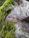 Filandmuižas Zilā akmens dabas taka - 6