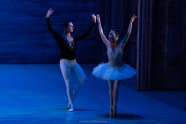 International Festival Ballet Swan Lake in Riga