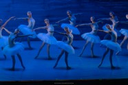 International Festival Ballet Swan Lake in Riga