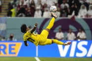 Futbols, Pasaules kauss 2022: Katara - Ekvadora - 8