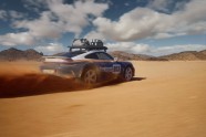 Porsche 911 Dakar - 22