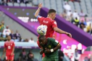 Futbols, Pasaules kauss 2022: Šveice - Kamerūna