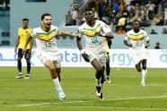 Futbols, Pasaules kauss 2022: Ekvadora - Senegāla - 2