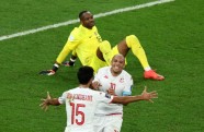Futbols, Pasaules kauss: Tunisija - Francija