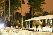 Rīgas zooloģiskajam dārzam aprit 30 gadi nacionālā zoodārza statusā