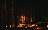 Sveču mežs