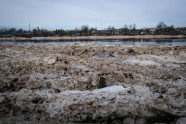 Jēkabpils pēc postošajiem plūdiem - 41